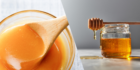 Le miel de Manuka vs le miel ordinaire : quelle est la différence ?