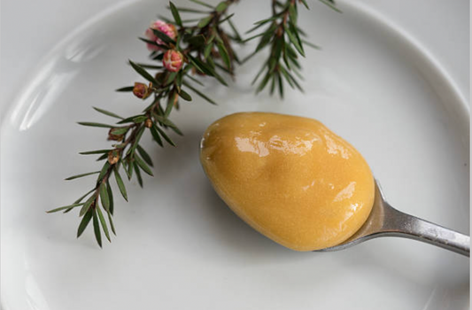 Renforcer l'immunité en hiver : Le Pouvoir du Miel de Manuka